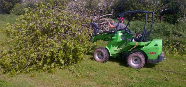 JAG Tree Surgery – Tree Care Service